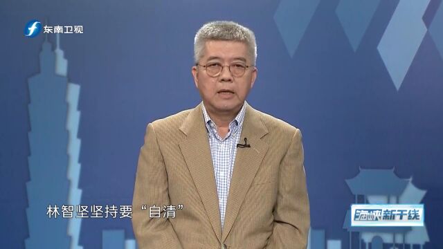 林智坚论文抄袭风波持续发酵,“小英男孩”要“失宠”了?