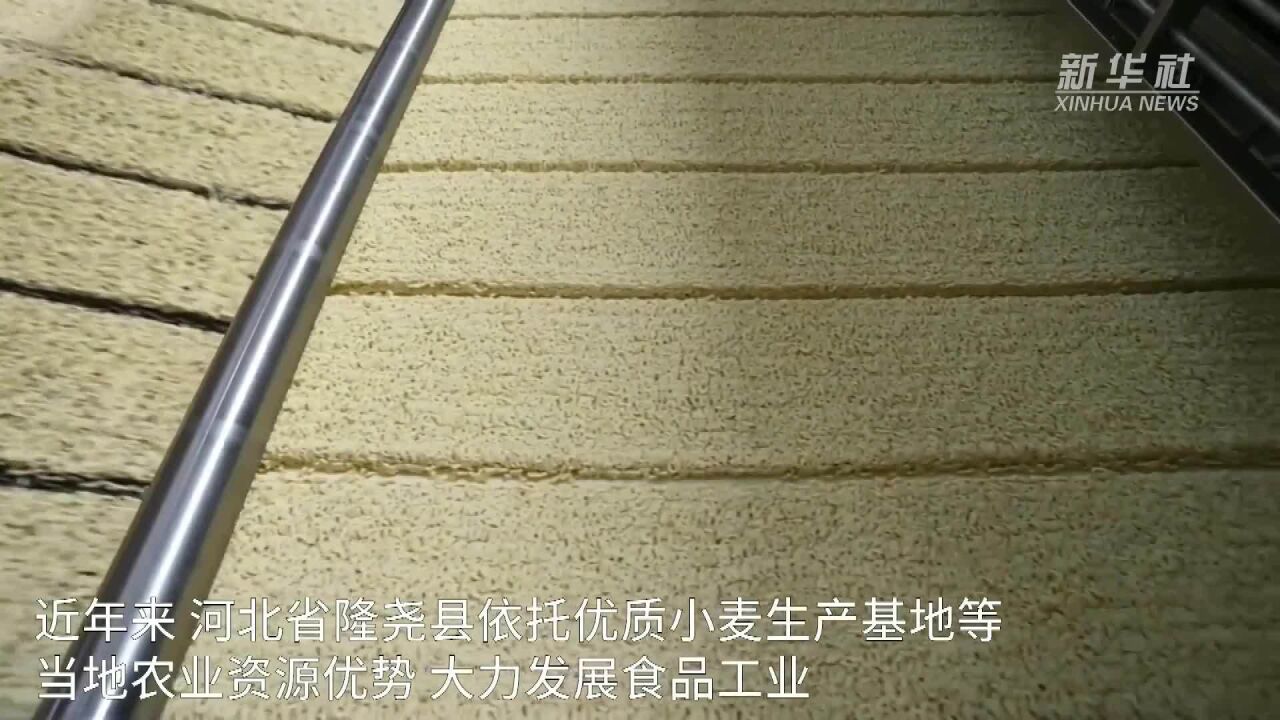 河北隆尧:食品产业激活区域发展动能