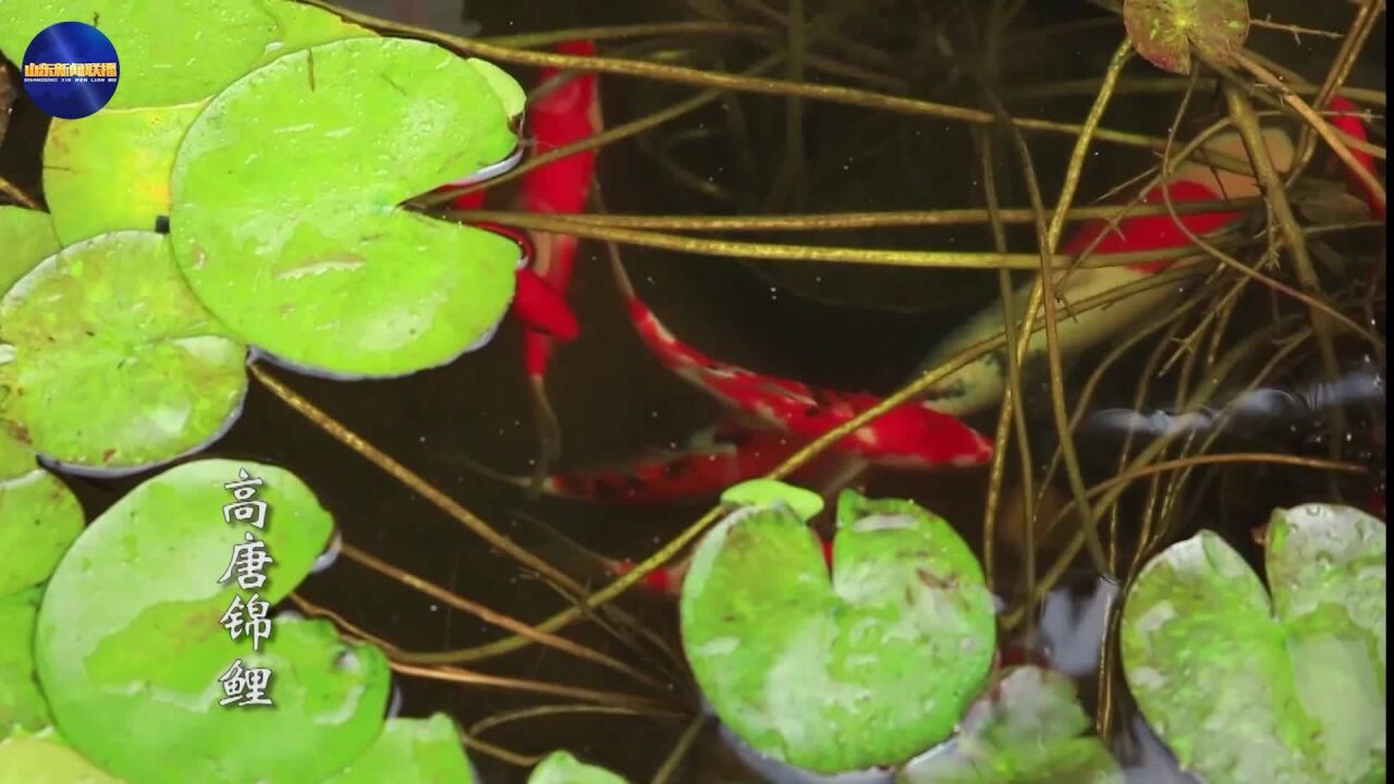 走在前 开新局丨聊ⷨƒœ一筹