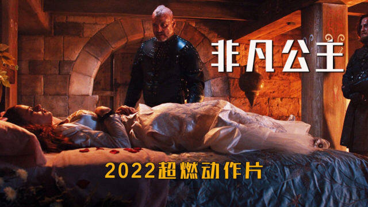 2022超燃动作片,落魄公主复仇记,从头打到尾