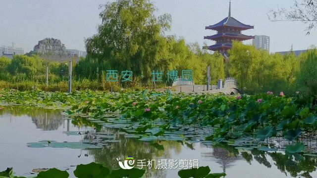 西安世博园5A级景区、浐灞生态区风景美如画、发现城市之美+手机摄影剪辑