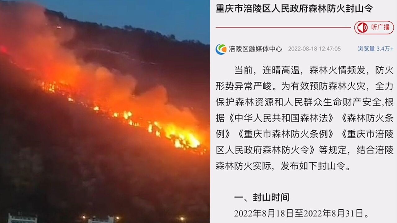 现场:重庆涪陵区一山林山火复燃 此前区政府发封山令