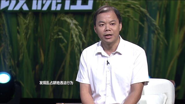 乡村会客厅 | 保护耕地 田长共守“饭碗田”