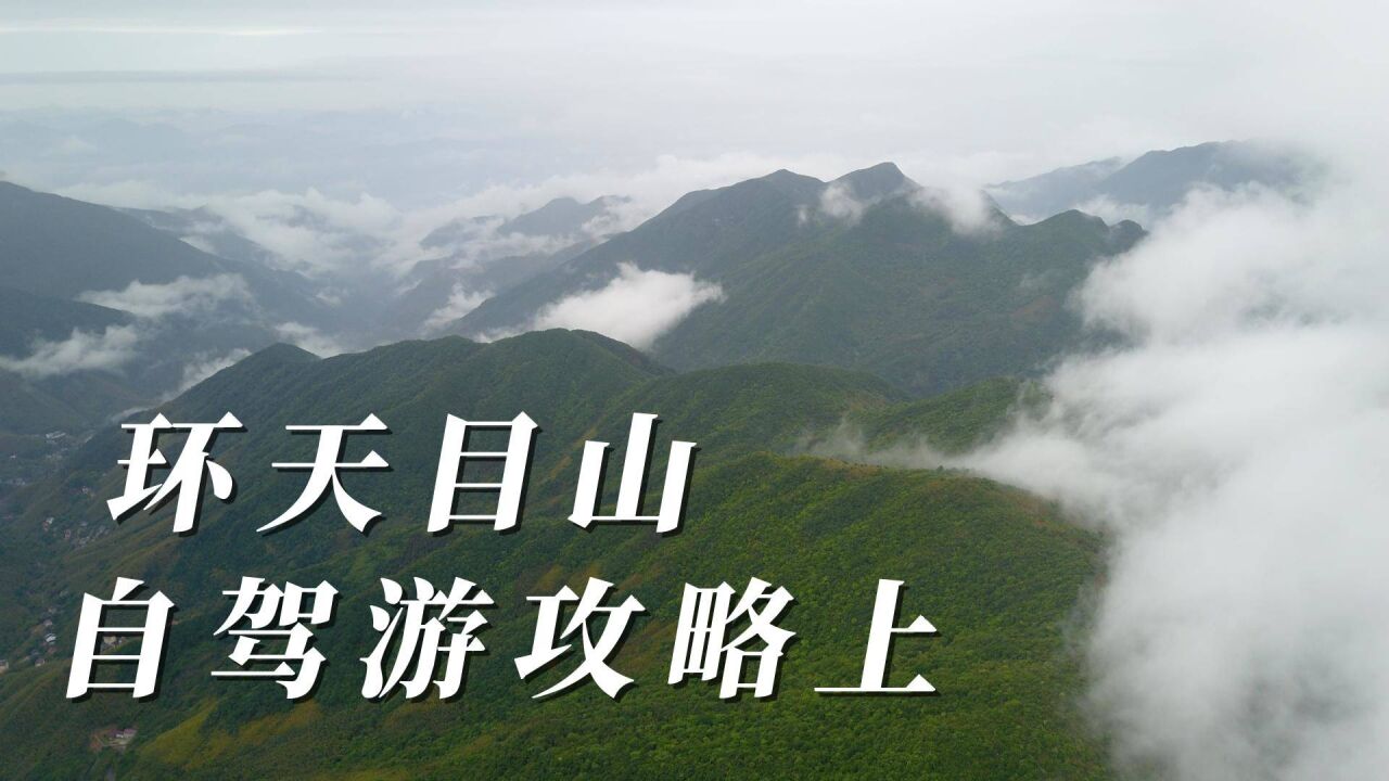 天目山自驾玩法,适合周末游,串联了205省道、深王线等景观公路