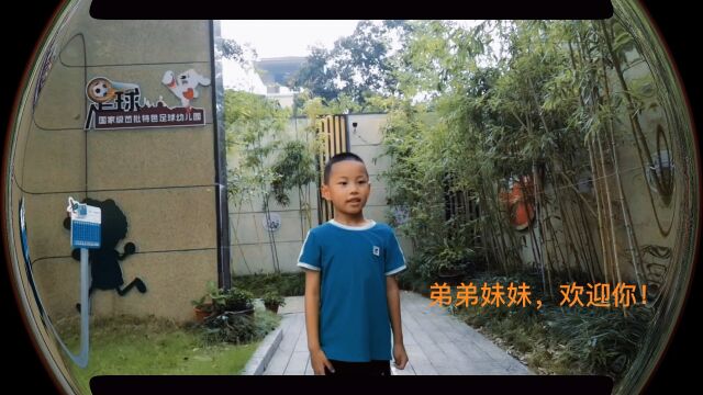 幼儿园活动合集