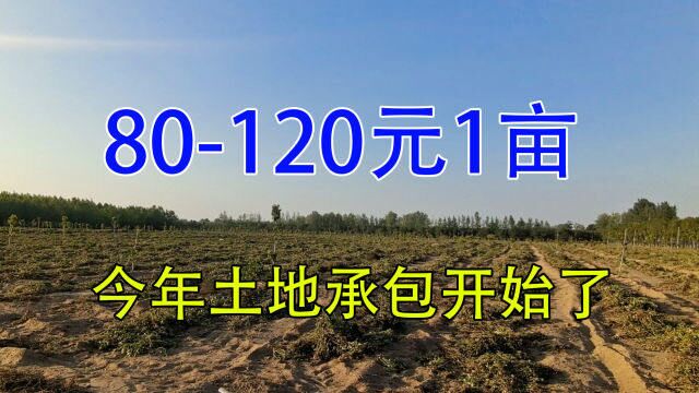 土地承包又开始了,先交钱后种地,120元1亩,大家看看值不值