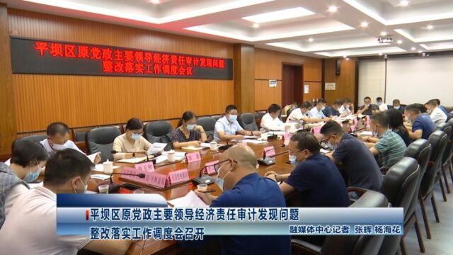 平坝区原党政主要领导经济责任审计发现问题整改落实工作调度会召开