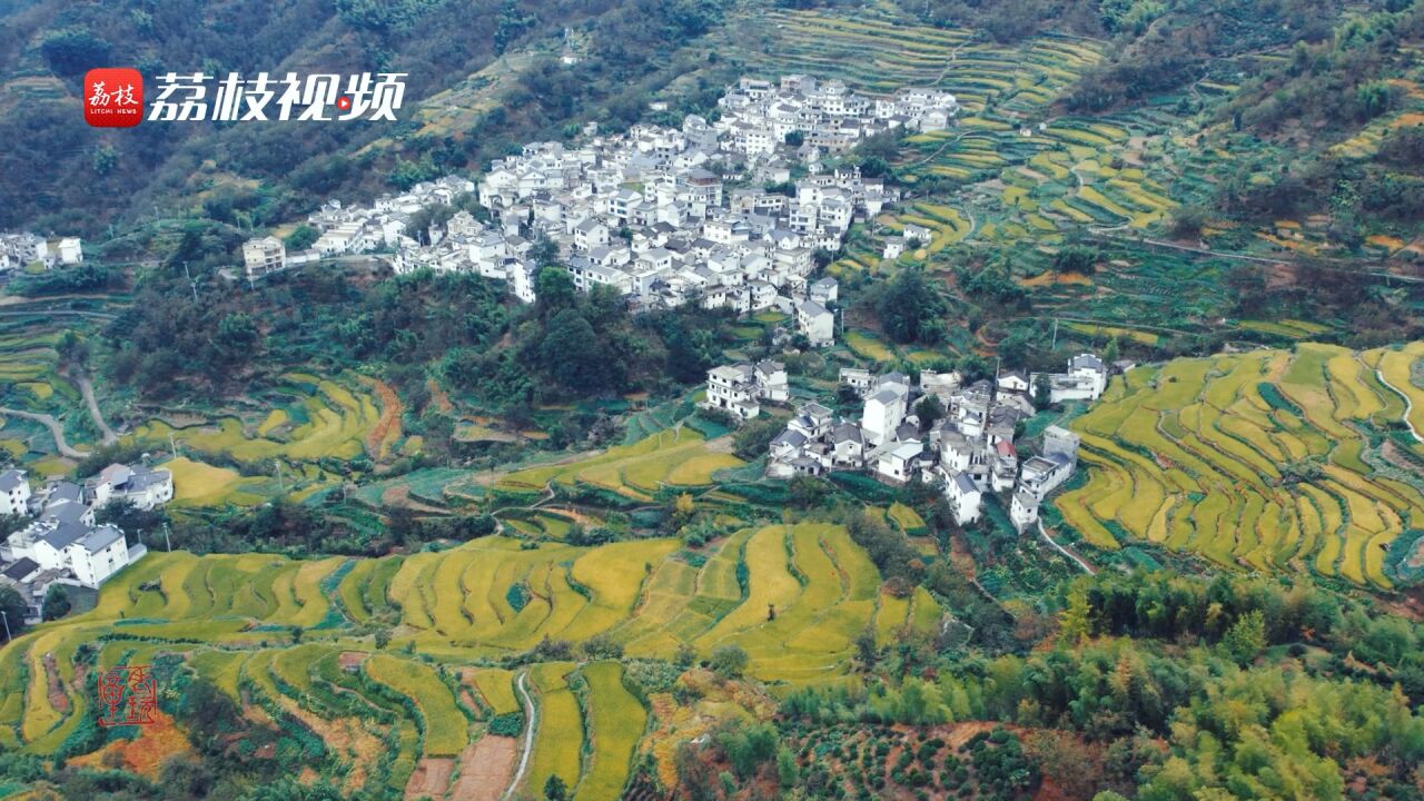 原来黄山不只有山!安徽歙县层层梯田绘成农耕村居图