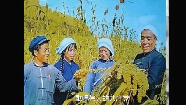 1972年大寨风光,一派欣欣向荣的景象