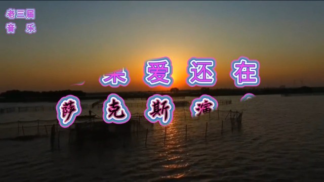 萨克斯独奏【如果爱还在】