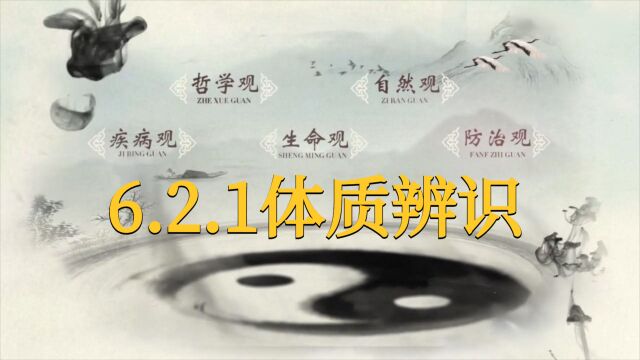 【中医基础理论】6.2.1体质辨识,小白零基础自学入门教程