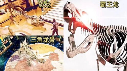 盘点影视中这三个版本的骷髅恐龙你觉得哪个最奇葩？感觉都很奇葩