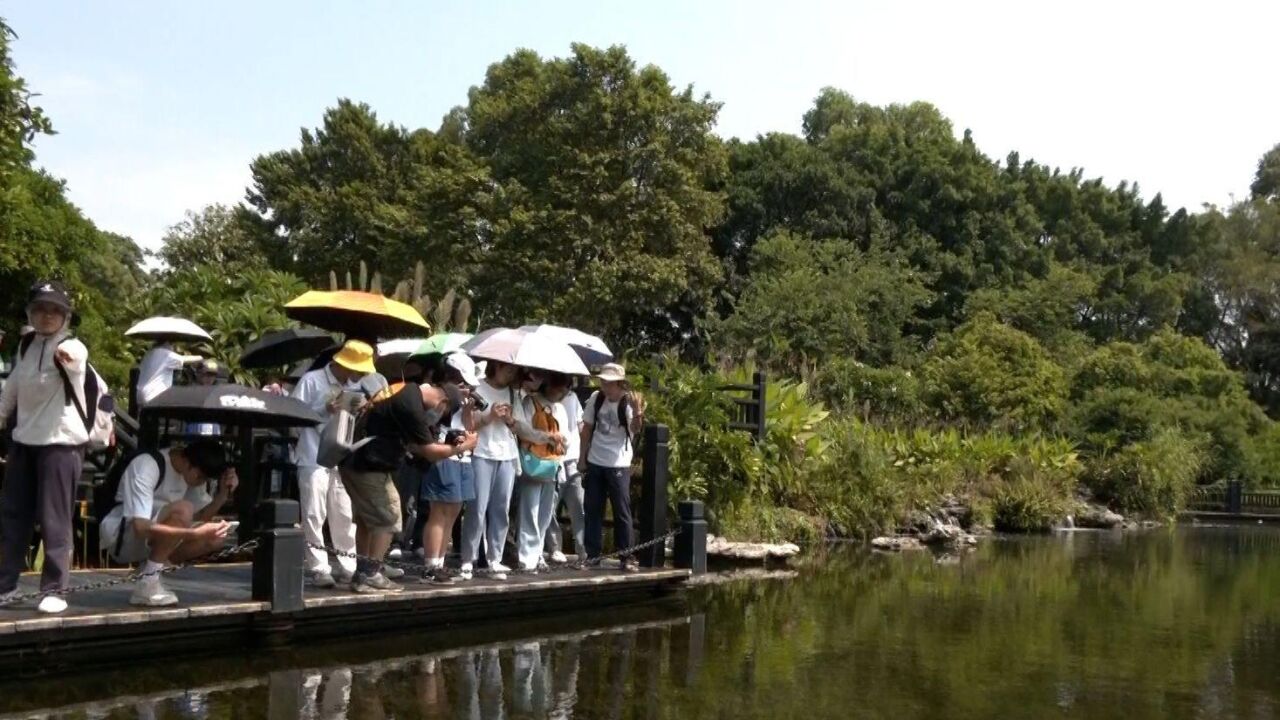 海珠湿地10岁生日将至,近百名大学生争做“湿地代言人”