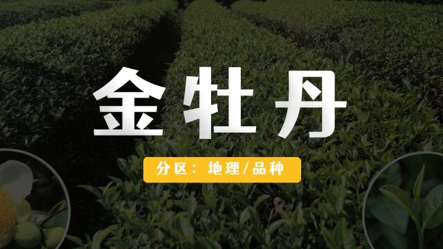 金牡丹红茶真的会有「水蜜桃香」?