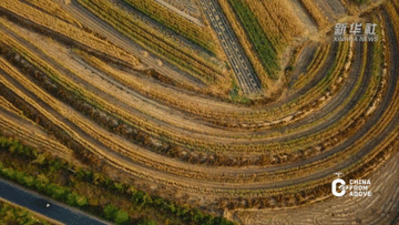 瞰中国|内蒙古赤峰:秋到文钟 壮美如画