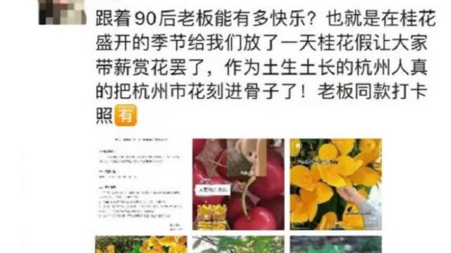 杭州一90后老板为员工放桂花假,网友羡慕,老板公布放假理由