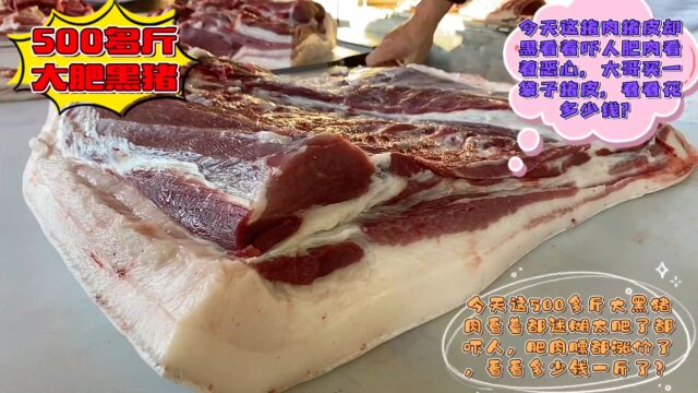 猪肉价格突然大涨,肉价回归巅峰,看看500斤黑猪卖多少钱一斤?