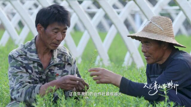 陵川5部作品获奖!