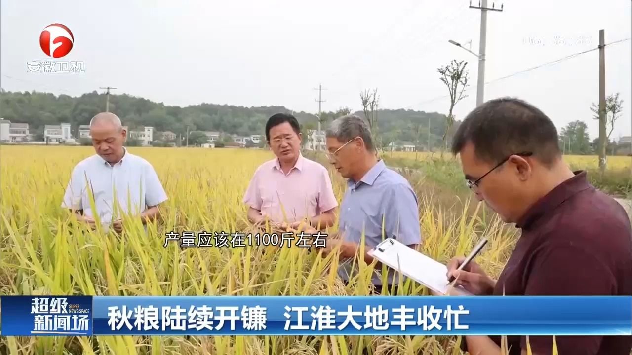 安徽芜湖:秋粮陆续开镰,江淮大地丰收忙