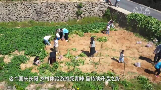 浙江:国庆长假 乡村体验游持续升温