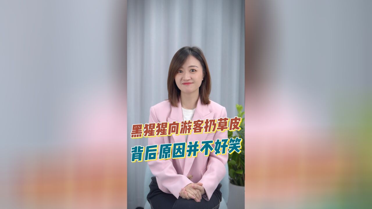 知事典 | 南宁动物园为啥没正经动物?背后原因让人笑不出来