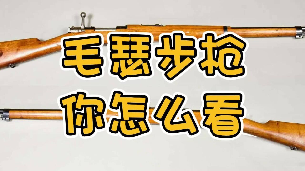 瑞典毛瑟步枪究竟是怎样的一款步枪?