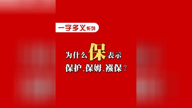 为什么“保”表示保护、保姆、襁保? #语文