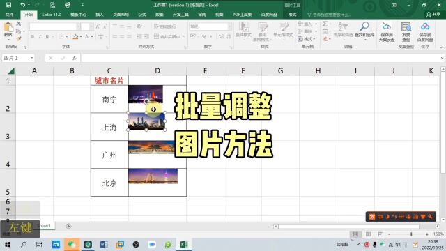 办公软件技巧,Excel批量调整图片方法,职场宝典