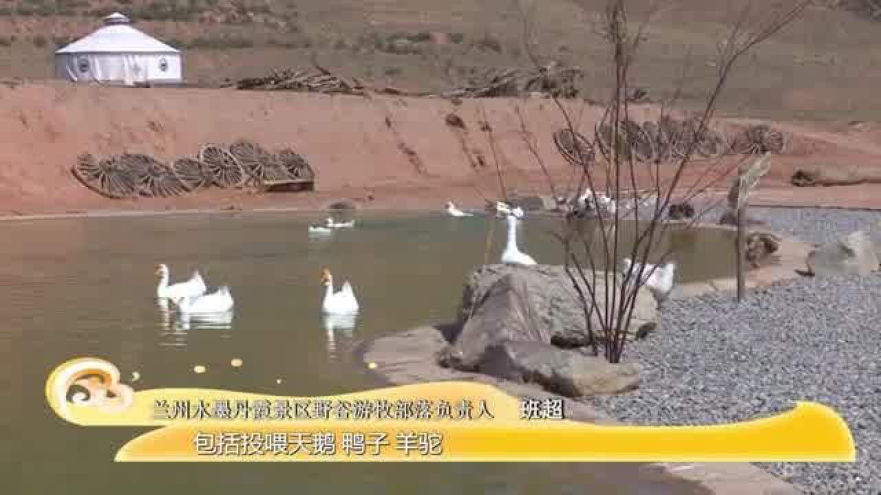 【文旅频道黄河恋】来水墨丹霞 体验牧场生活