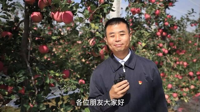 陕西省长武县人民政府副县长白明为长武苹果代言