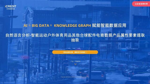 自然语言分析智能运动户外体育用品其他台球配件电商数据产品属性要素提取抽取艾科瑞特科技(iCREDIT)