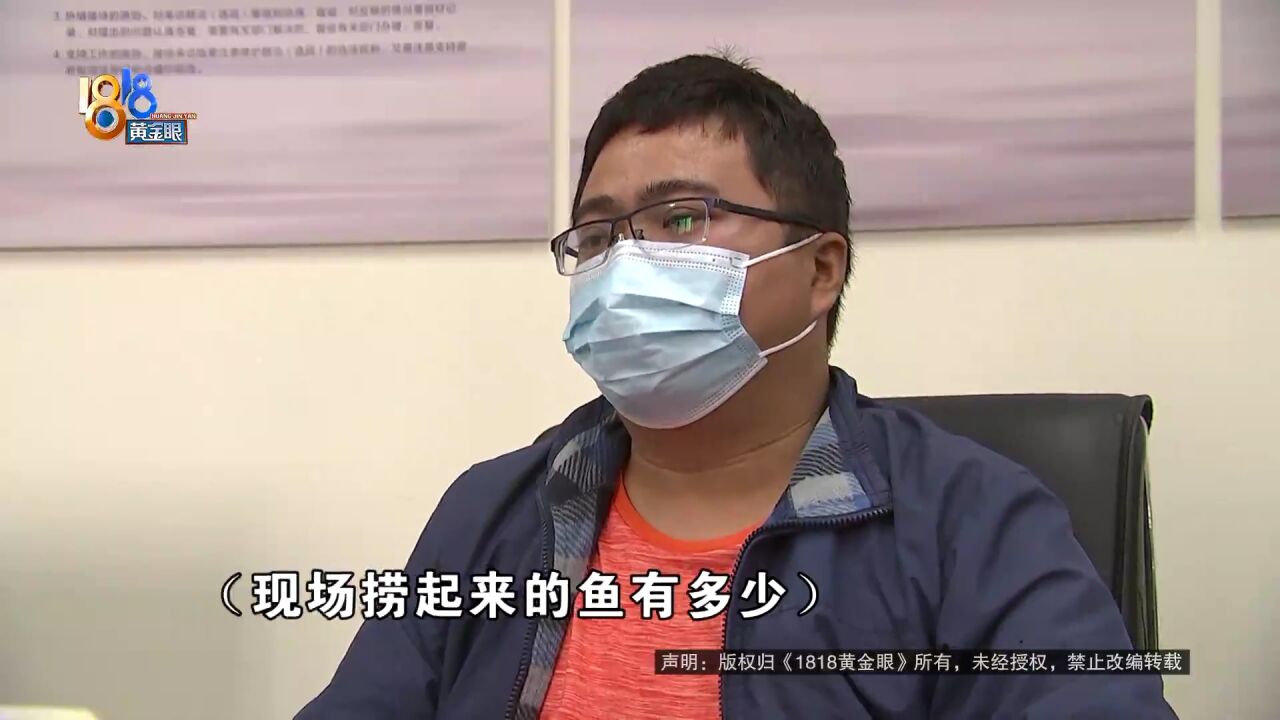 “景观池”里养大鱼 河道治理已告知?