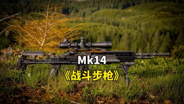 Mk14战斗步枪