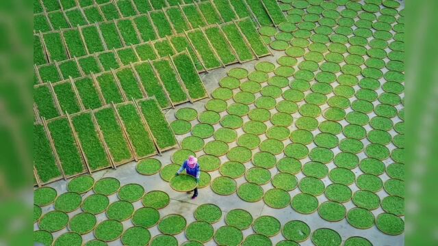 生态文明增福祉 | “宁德这十年”全国主题摄影展在线看(四)