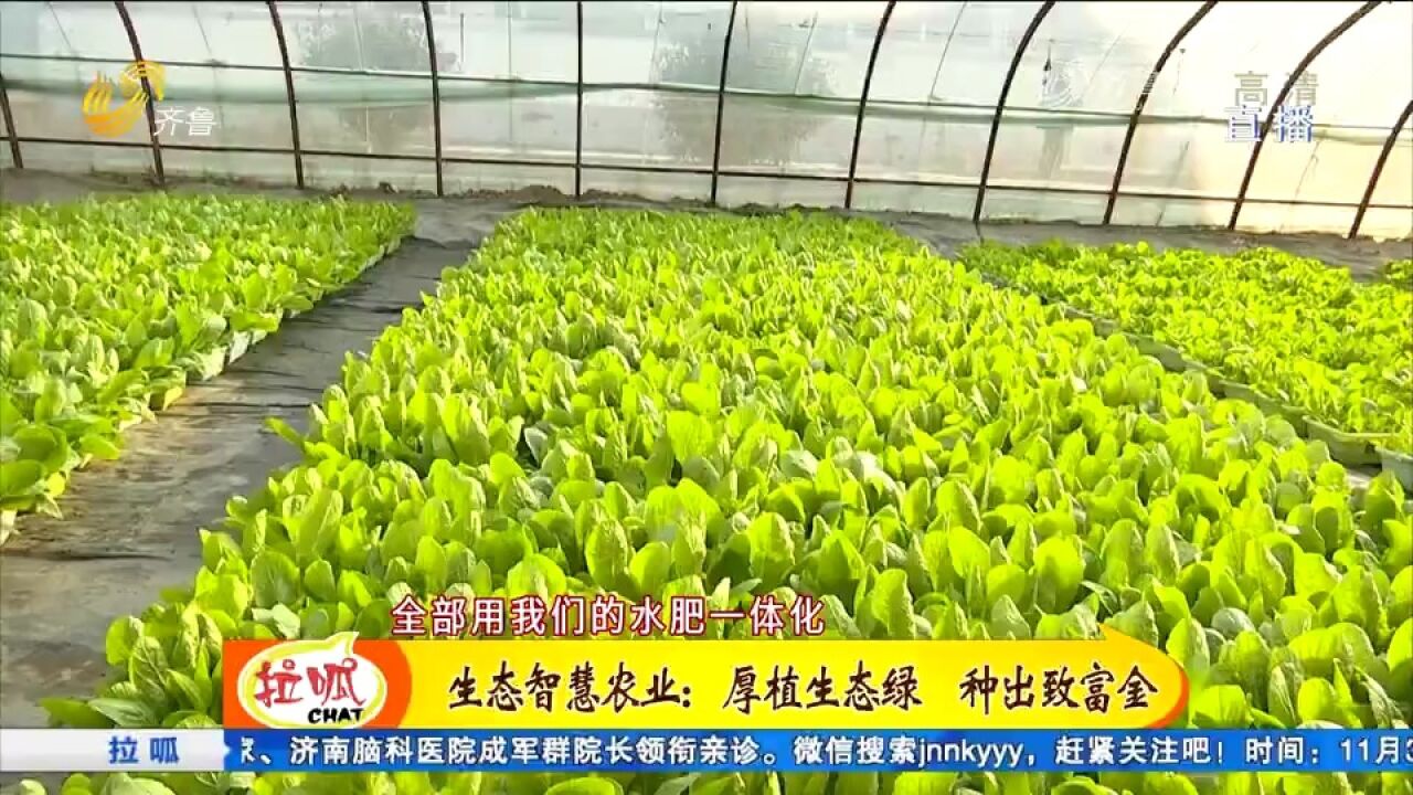 东明有个生态智慧农业园,瓜果蔬菜绿色种植,生态、经济效益双赢