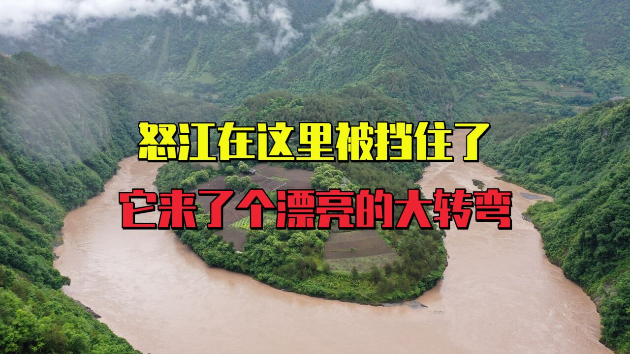 怒江在这里被大山挡住,它来了个漂亮的大转弯,被誉为怒江第一湾