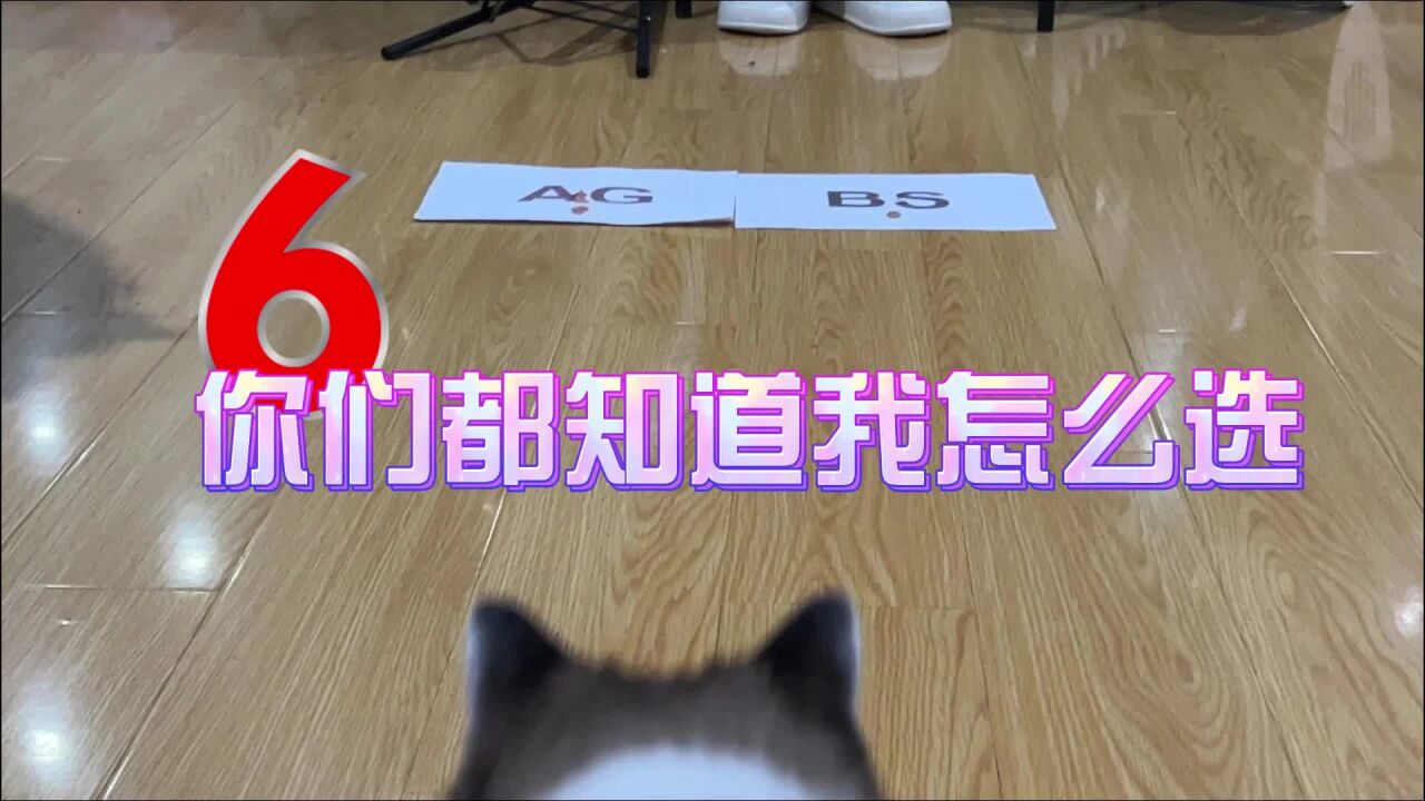 AGvsBS:你们知道怎么选吗?