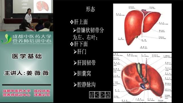 营养师全套教程 2. 医学基础14