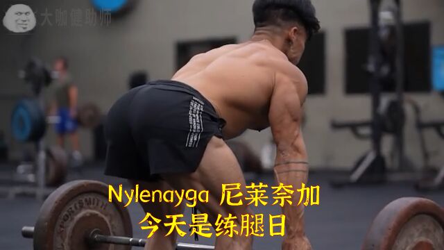 Nylenayga 尼莱奈加,今天是练腿日