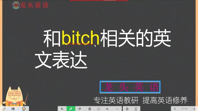 bitch是什么意思?骂人的?相关表达你知道多少?