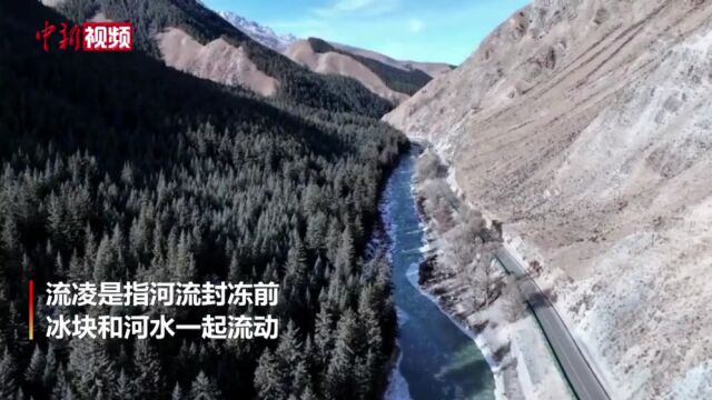 青海黑河大峡谷出现流凌冰花朵朵似“冰晶雪带”