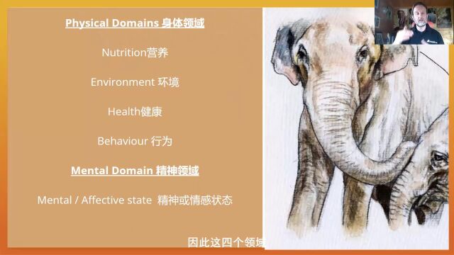 动物福利知识 Animal Welfare大卫讲课视频