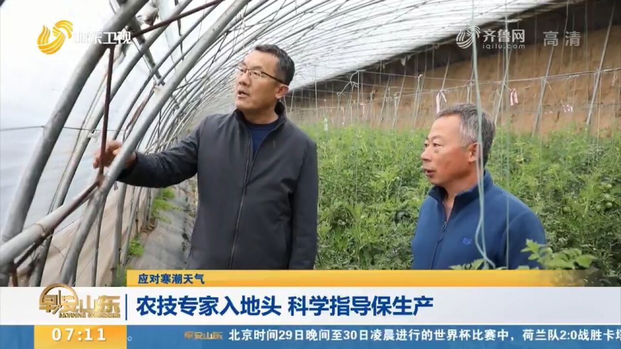 山东:农技专家走进田间地头,科学指导农户,全力保障农作物生产