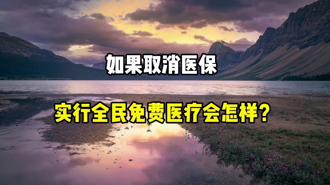 如果取消医保,实行全民免费医疗,会怎么样?