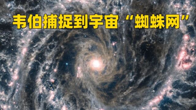 韦伯再次捕捉到宇宙“蜘蛛网”,星系怪异的另一面