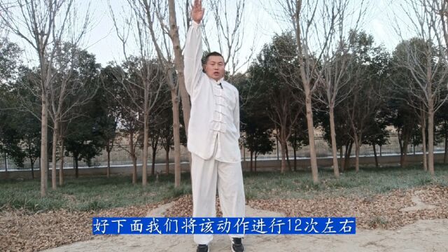 提踵双臂上下甩 清气上升浊气降 阴阳平衡经络畅 免疫提升防生病