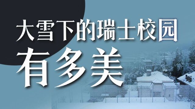 瑞士酒店管理留学:美到极致,便是瑞士之冬雪!美好的不似人间!