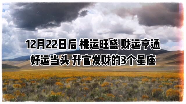 12月22日后,桃运旺盛,财运亨通,好运当头,升官发财的3个星座