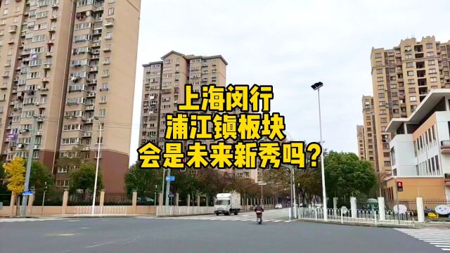 上海闵行浦江镇板块,会是未来的新秀吗?