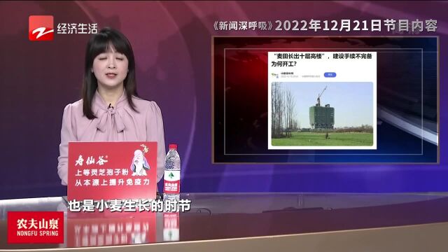 “麦田长出十层高楼” 建设手续不完备为何开工?